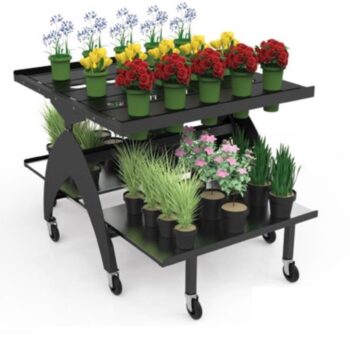 EBE 120 fleurs & plantes